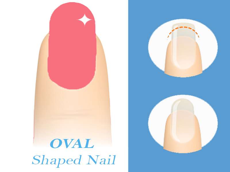 oval nails