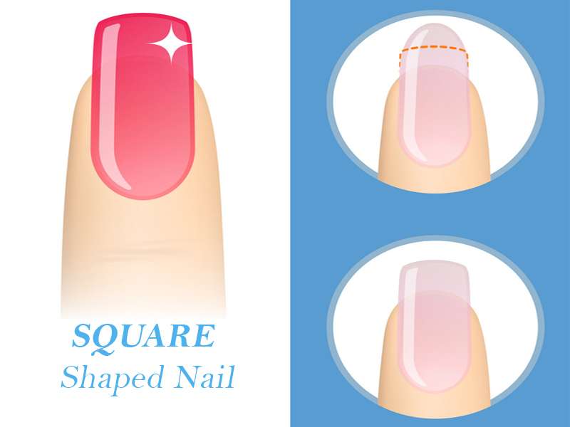 How to Pick the Best Nail Shape for You | Fake nails shape, Gel nails shape,  Types of nails shapes