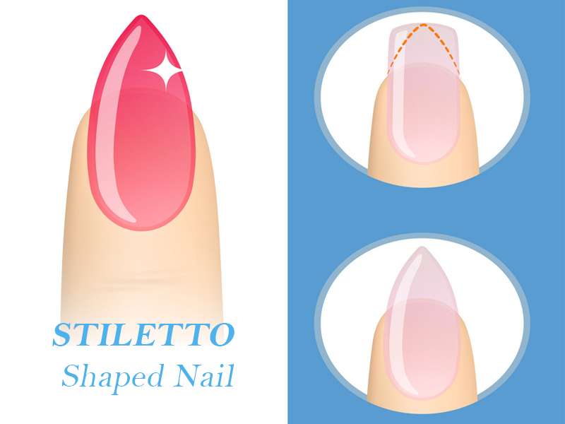 what are the basic nail shapes,nail shapes,basic nail shapes,nail shapes guide,natural shape